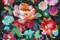Bright Floral Medley Crop Poster Print by Danhui Nai - Item # VARPDX31267